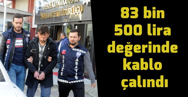 Bekçilerin dikkati kablo hırsızlarını yakalattı