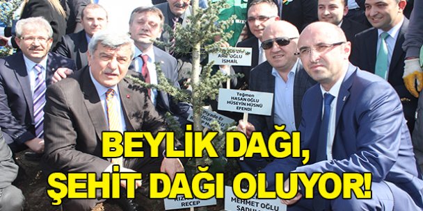 Beylik Dağı, Şehit Dağı oluyor!