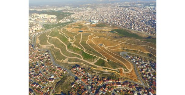 BEYLİKDAĞI'NDA AĞAÇLANDIRMA ÇALIŞMALARI SÜRÜYOR