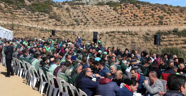 'Beylikdağı'nda hedefimiz 420 bin fidan”
