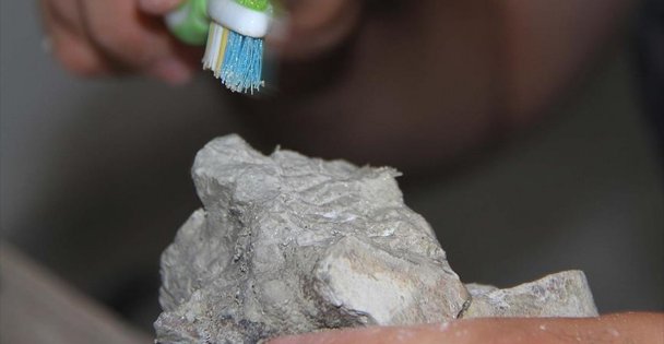 Bilim adamları 255 milyon yıllık fosilde ur buldu