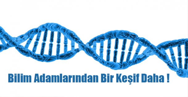 Bilim Adamlarında Bir Keşif Daha!