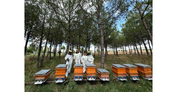Bilinçli üretim, Kocaelinin balını Türkiyeye taşıyor