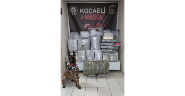 Bir Araçta Yaklaşık 107 Kilogram Skunk Ele Geçirildi