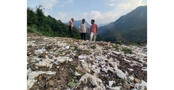 Bir kamyon dolusu tıbbi atığı doğaya attılar