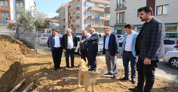 Bıyık Sahaya İndi