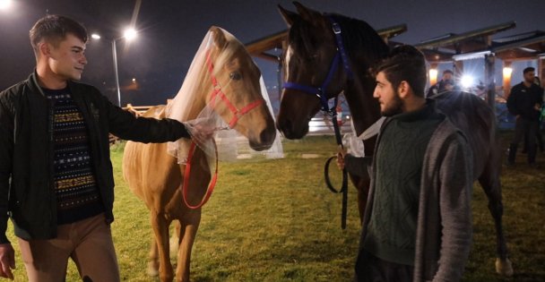 Bu düğünde gelin ve damat görenlerin ağızlarını açık bırakıyor