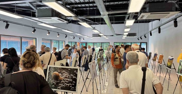 Bu fotoğraf sergisi Ormanyada görsel şölen sunuyor