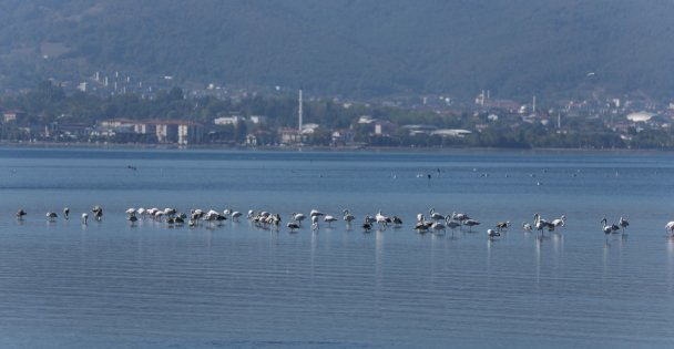 Bu Güzelliği Görmelisiniz