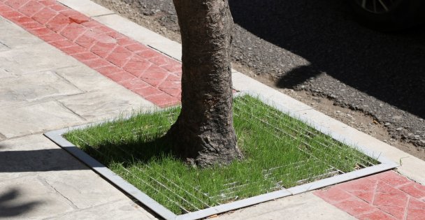 Bu mazgallar kaldırımlardaki engelleri kaldıracak