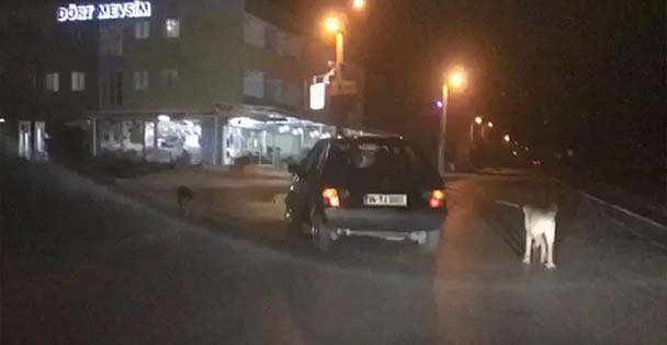 Bunun adı vicdansızlık!