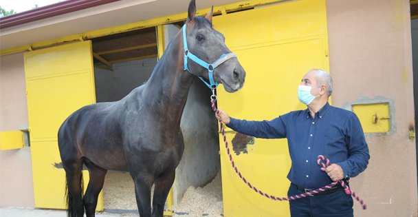 Büyükgöz'den 'Atlı Eğitim”e Davet