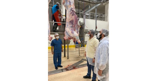 Büyükşehir Mezbahasında TSE tescilli kesim
