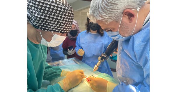 Büyükşehir patili dostlara umut oluyor