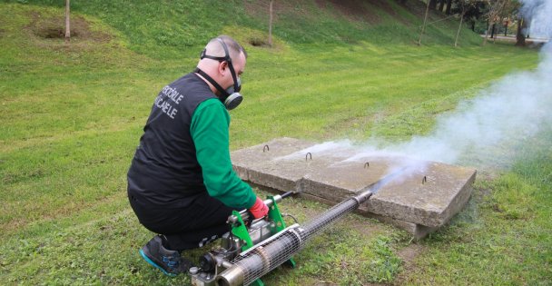 Büyükşehir, yoğun çalışmayla sinekleri Kocaeli'den arındırıyor;  Sinekle mücadele sonbaharda da hız kesmiyor