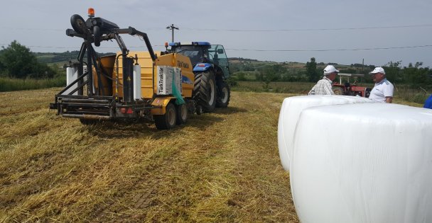 Büyükşehirden çiftçilere yüzde 50 hibeli tohum desteği