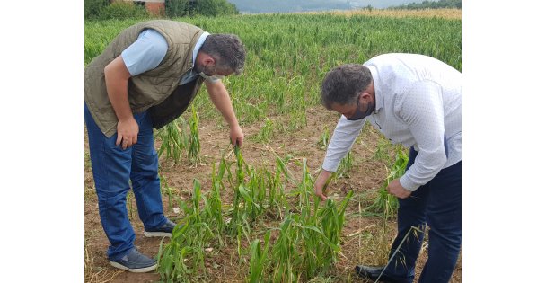 Büyükşehir'den dolu ve sel felaketi yaşanan noktalara inceleme