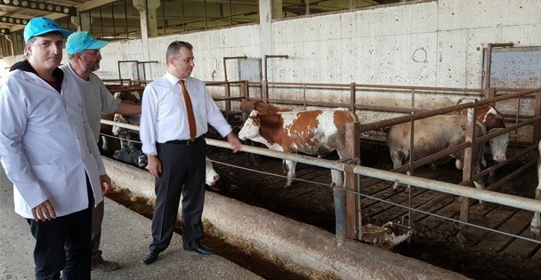 Büyükşehir'den Gebzeli çiftçilere 800 bin TL'lik destek
