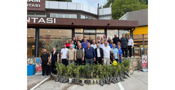 Büyükşehirden Geyveye fidan desteği