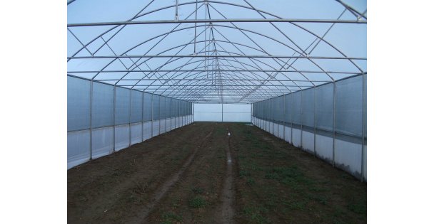 Büyükşehir'den üreticilere sera desteği