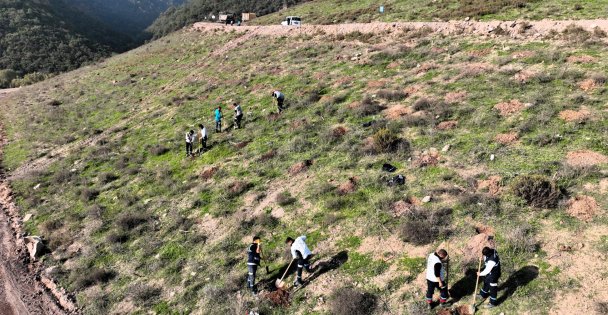 Büyükşehir'in dokunuşlarıyla Kocaeli yeşile doyuyor