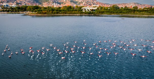 Büyükşehirin ödüllü fotoğraf yarışmasına başvurular başladı