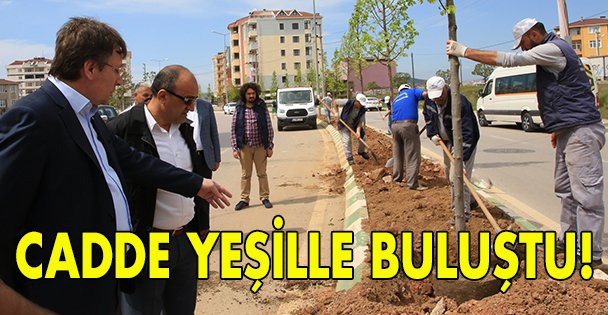 Cadde yeşille buluştu!