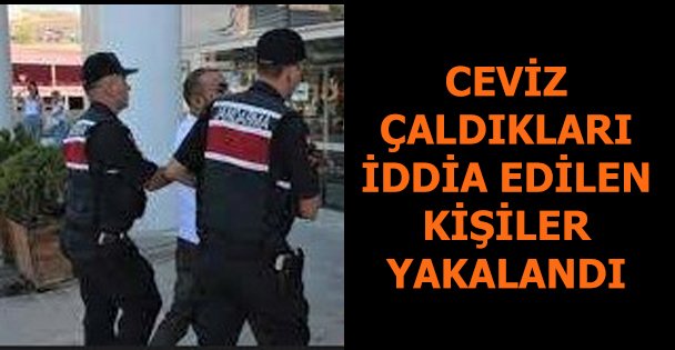 Çalınan cevizler sahibine teslim edildi