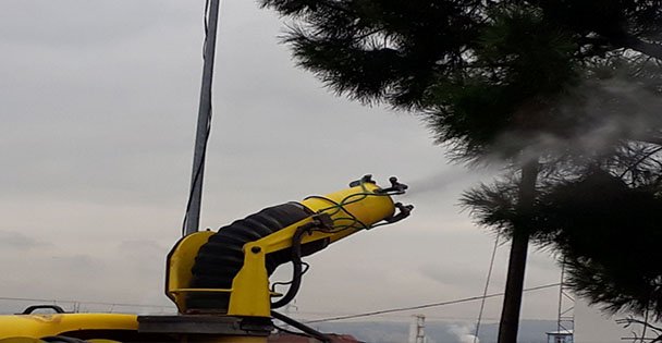 Çam Kese Böceği'ne karşı