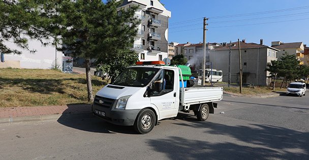 Çayırova Sokakları Sivri Sinek ve Haşeratlara Karşı İlaçlanıyor