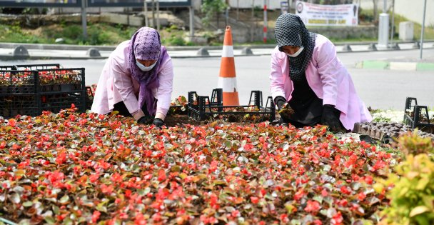 Çayırova'da Mevsimlik Çiçek Dikimi ve Yabani Ot Temizliği