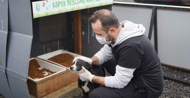 Çayırova'da Sevimli Dostlar Aşılanıyor