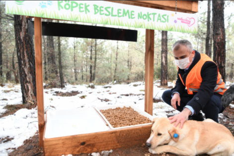 Çayırova'da Sokak Hayvanları Yalnız Değil