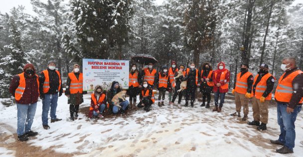 Çayırova'da sokak hayvanları aç kalmadı