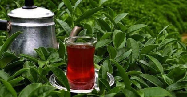 Çaykur'dan çaya yüzde 43.7 zam