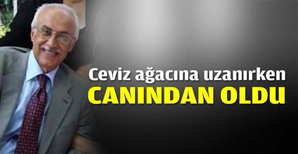 Ceviz ağacına uzanırken canından oldu