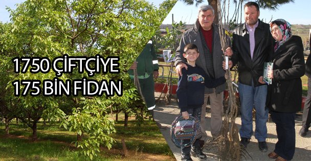 Çiftçilere Meyve Fidanı Desteği