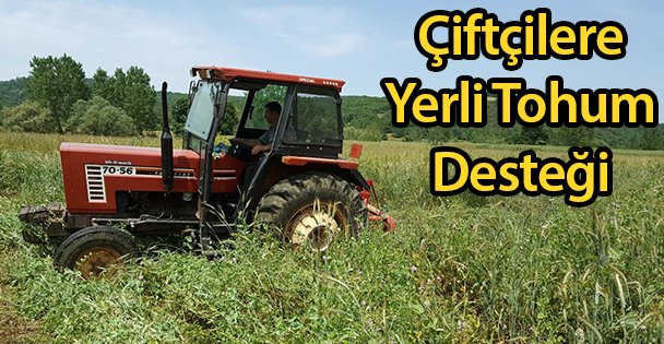 Çiftçilere Yerli Tohum Desteği