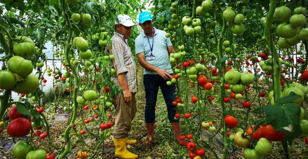 Çiftçilere yüzde 50 hibeli sera desteği