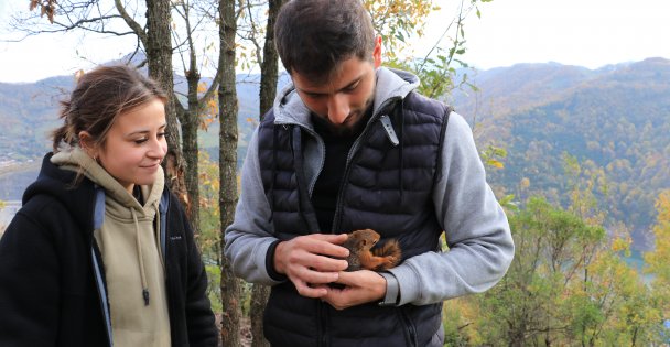 Çiftin baktığı sevimli sincap doğal ortamına bırakılacak