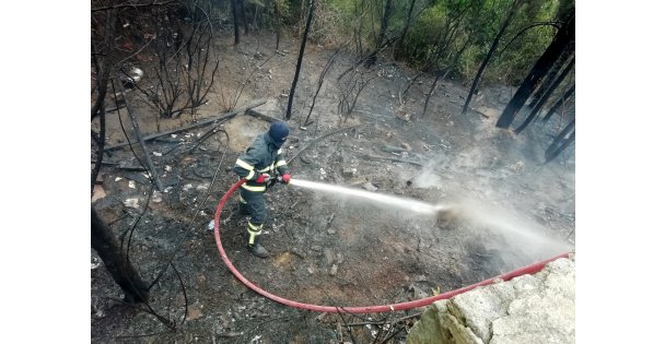 Çıkan yangında 2 dönüm ormanlık alan zarar gördü
