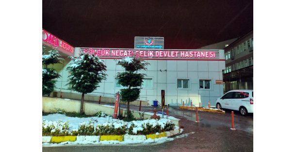 Cinayetle İlgili 2 Şüpheli Tutuklandı