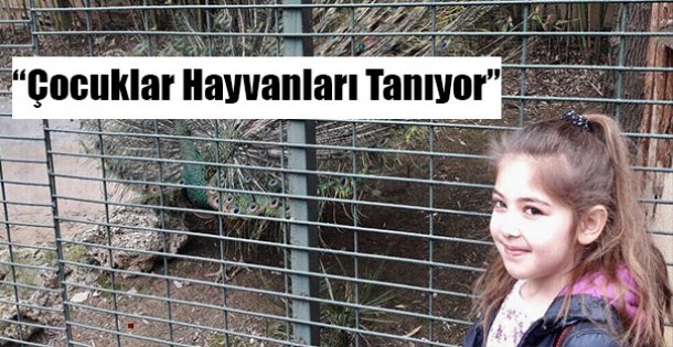 'çocuklar hayvanları tanıyor”