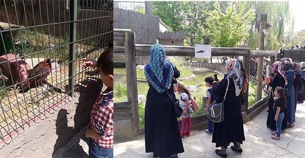 Çocukları hayvanat bahçesine götürdüler