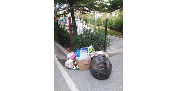 Çöp konteynırı istiyorlar!