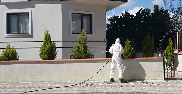 Dantel böceğine karşı ilaçlı mücadele