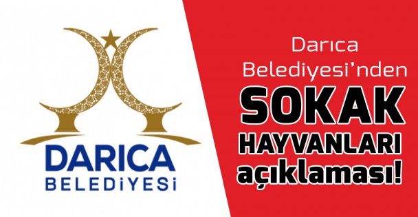 Darıca Belediyesi'nden sokak hayvanları açıklaması