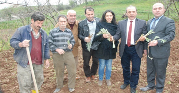 Darıca Kaymakamı Enginara el attı!