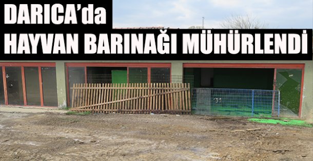 Darıca'da Barınak Mühürlendi