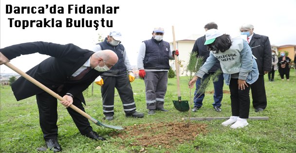 Darıca'da Fidanlar Toprakla Buluştu